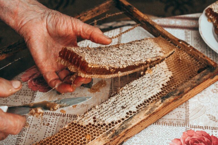 Hands extracting honeycomb from frame. Detailed view inside a rustic setting.
